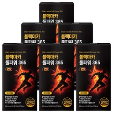 [정품] 블랙마카 아르기닌 풀파워 365, 6개, 120정