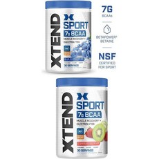 스키비언 엑스텐드 Hydrasport BCAA 파우더 가지사슬 아미노산 무설탕 전해질 음료 수분 공급 블루, 300g, 1개