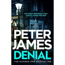 (영문도서)Denial: A Gripping Thriller Filled with Twists and Turns Paperback, Orion, English, 9781398725614