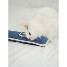 펫타임즈 포켓캣닢쿠션 속 까지 꽉찬 캣닢 쿠션 대형, 데님블루, 1개