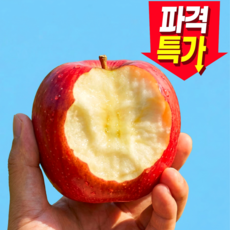 [파격특가] 꿀사과 초고당도 산지직송 못난이사과, 1박스, 3kg
