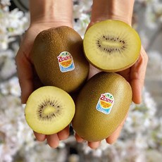 [출하기념-선착순100박스 한정특가!] 정품 제스프리 골드키위 골든키위 왕특 점보, 1개, 제스프리 골드키위 특과 48개입(5.7kg)