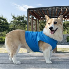 도기스타 웰시코기옷 시원한 여름 쿨링메시 크롭탑, 1개, 블루