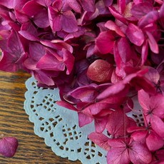 VITO zakka 木繡球永生花DIY乾燥花植物浮游花材花藝材料包拍攝道具DIY創作花材20g, 魔女的毒藥瓶(紫紅漸變)(現貨)