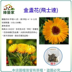 飛士達金盞花種子(15克/1200顆) 株高20-30公分 多花性大花 早花 密叢性【綠藝家】