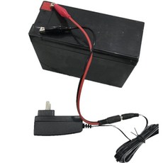 XINLEINA 배터리 전동차 호환 자동차 12V 7AH, 12V7AH+충전기+충전 클립 세트, 1개