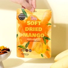 비나프렌즈 건망고 건조 슬라이스 말랭이, 1개, 500g