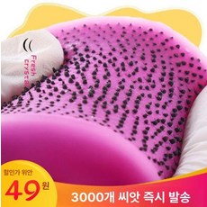 여드름인형 얼굴 말랑이 짜기 피지 여드름 블랙헤드 선물 장난감, [슈퍼 스트레스 해소] 인조 용과일 1개+도구, 기본 모델명/품번