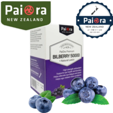 파이오라 빌베리 50000mg 뉴질랜드 해외 직구 수입, 60정, 1개