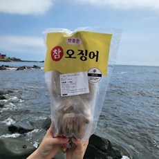 반건조 오징어 10마리 피데기 반건조오징어 특대, 반건조오징어 10마리 1kg, 1개