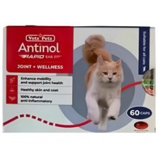 Antonio Rapid 安適得港版 貓關節護理保健品，增強活動力，呵護心血管，維持皮膚健康, 1個, 骨骼/關節強化, 60顆