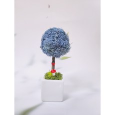 공기정화식물 스칸디아모스 토피어리 만들기 diy 키트 단체수업 원예수업 어린이 수업재료, 사용안함, 라벤더블루