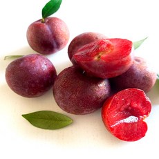 초특가 노씨고집 당도선별 속빨간자두 피자두 중과, 1개, 4.5kg(정품)