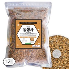세경팜 깔끔한 동생사 소립 야생화 난석, 1개, 2L