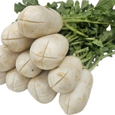 오로시 십자칼집 알타리 절임 완벽한 알타리절임 끝판왕, 1개, 5kg