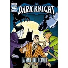 Batman Undercover Stone Arch Books