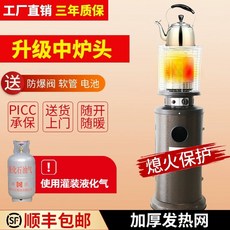 야외 난로 가스히터 가정용 LPG 실내 테라스 야외난로 캠핑 파티오, 업그레이드 및 두꺼워진 버너 헤드화염 정지 보호  LP