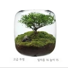 수경 재배 유리병 미니 화병 어항, 03 2
