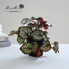 嘉義直發 3D打印葉子仿真盆栽，客廳辦公室桌面擺設裝飾仿真盆景, 2025554 仿真綠植盆栽 塑料盆, 1個