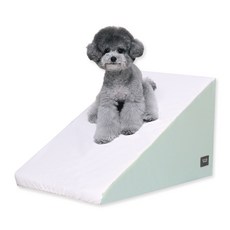 초코펫하우스 미끄럼 방지 강아지 계단 야광 슬라이드 논슬립 스텝 2.0, 민트, 1개