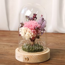 ROMANTIC NOVEMBER 永生康乃馨玻璃圓頂 永生花禮物 LED 心情燈 母親節禮物, 保留康乃馨軟粉色