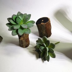 仿真多肉植物 木頭擺件, P50仿真多肉+木頭底座(隨機), 1套