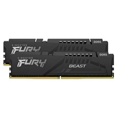 킹스톤 퓨리 비스트 DDR5 데스크톱 메모리 6800MHz 16GB C34 2개입, 1개, KF568C34BBK2/16