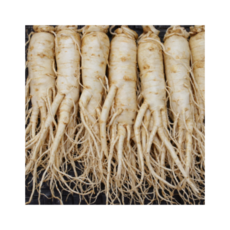 풍기인삼 6년근 황수삼 300g~1kg 산지직송 세척수삼 신선배송 건강선물 삼영인삼사, 1세트, 751g