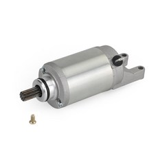 Daytona 600 650 TT600 Speed Four T1311117 T1310805 啟動馬達, 1個