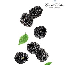 [재구매율1위] 고당도 꿀과즙 토종 햇오디, 1박스, 5kg(실속형 토종)