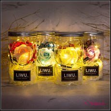 LIWU 凡爾賽花園 滿天星乾燥花罐 (附贈提袋及小卡), 藍色