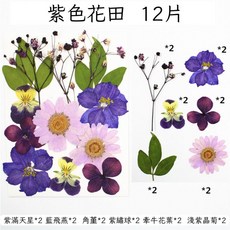 DIY乾燥花永生花壓花手作材料 26片 仙女座, 紫色花田【12片】