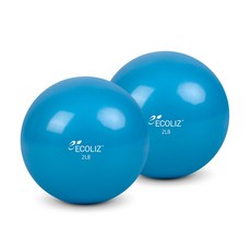[리퍼상품] 에코리즈 토닝볼, 블루, 902g, 2개