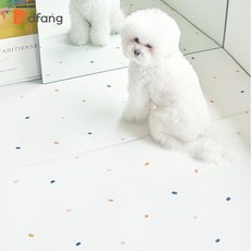 에스이스타 강아지미끄럼방지장판, 레인보우빈, 1개