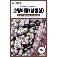 다농 호랑이콩 씨앗 30g 넝쿨성 강낭콩씨 종자, 4개