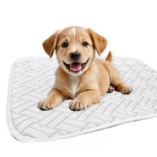 강아지 쿨매트 반려견 애견 여름 방석 대형견 중형견 소형견 쿨방석 (6 size), 화이트 (트위니), 1개
