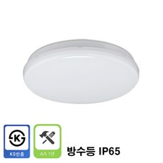 케이시조명 LED 원형 방수 직부등 30W 실외 욕실 방습 야외 벽등 겸용 IP65, 1개, 하얀불(6500K)