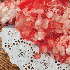 VITO zakka 木繡球永生花DIY乾燥花植物浮游花材花藝材料包拍攝道具DIY創作花材20g, 草莓凍(紅白漸變)(現貨)