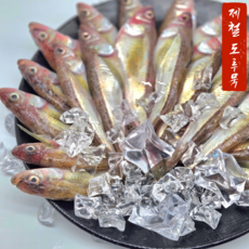 [겨울제철한정특가] 햇 도루묵 암수혼합 급냉 동해직송 당일조업 풍미가득 조림구이, 1개, 암수랜덤 도루묵 1kg