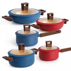 란치에 컬러 인덕션 가스렌지 겸용 냄비 5종 세트, 1개, 나리히라 16레드+18블루+20레드+22레드+24블루, 상세페이지 참조