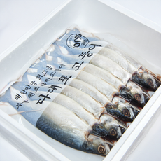 선주직송 진공자반고등어 (10미), 1박스, 중 특대 (손질 후 2.5-3kg 내외)