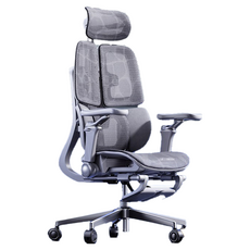 Xpanse S360 旗艦款人體工學椅 3區浮翼腰靠 可調式辦公椅電競冰絲網椅 全方位環腰 五年保固, S360 Pro 靈動靠背 雲翼環抱 灰