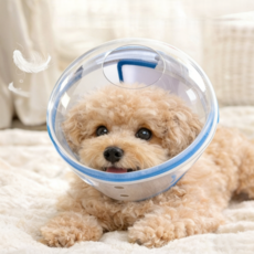 강아지 고양이 반려동물 투명 보호헬멧 넥카라 대체 물림방지 넓은시야 식사가능 우주헬멧, 1개, 푸른 색