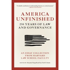 (영문도서)America Unfinished: 250 Years of Law and Governance Paperback, MIT Press, English, 9780262060431