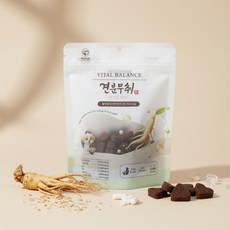 견분무취 강아지 장건강 유산균 간식 사료토핑 120g 펫테일 트릿, 1개, 혼합