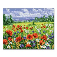 DIY캔버스페인팅 명화그리기 액자 그림 세트 유화 - 풍경 40x50, L142_양귀비 들판, 1개