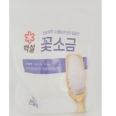 CJ제일제당 백설 꽃소금 500g x10개, 10개