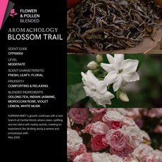 태국 카르마카멧 핸드 25ml 6가지 향, B. 블라썸 트레일우롱차 자스민 로즈, A. 25ml