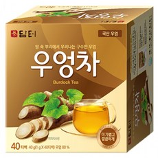 담터 우엉차 40T, 1g, 1박스