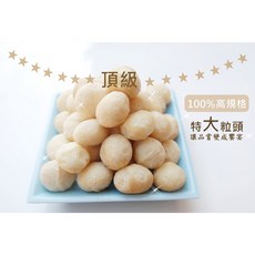 【自然堅果】特大夏威夷火山豆 嚴選頂級 渾圓健壯 一顆一口好滿足, 1個, 特大夏威夷火山豆240g
